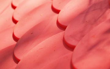 Sleap plastic roof costs